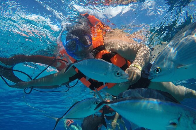 Private Sky Snorkeling Tour - Stop 3: Playa El Cielo and the sandpit-in-the-sea
