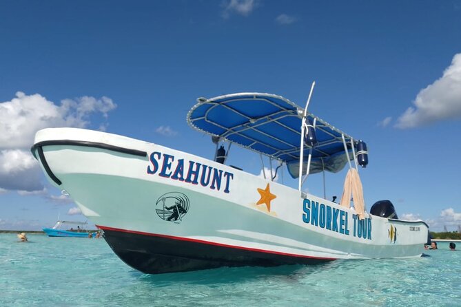Private Sky Snorkeling Tour - The real star: calm, patient guidance in the water