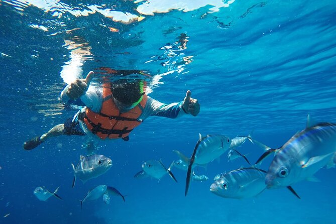 Private Sky Snorkeling Tour - What the price covers, plus the costs you should not forget