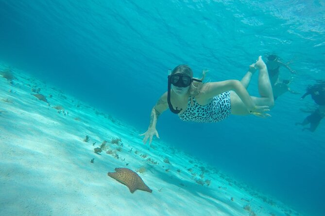 Private Sky Snorkeling Tour - Meeting at Caleta Antigua, then heading out (logistics that matter)