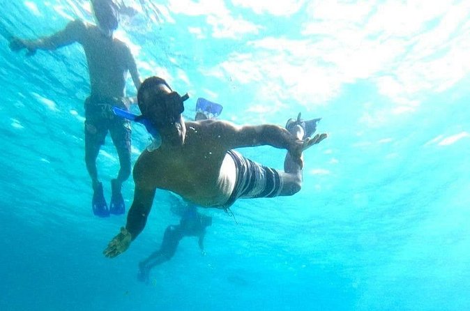 Private snorkeling tour to El Cielo - Price and Value: Is $536 Per Group a Smart Deal?
