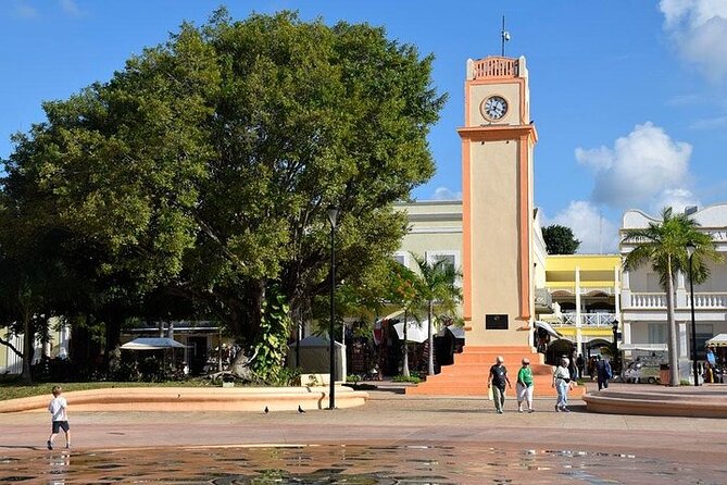 Private Tour: 5-Hour Cozumel Sightseeing with Private Driver and Tequila Tasting - Stop 3: Mi Mexico Lindo Tequila Tour, Blue Agave, and Kids’ Drinks