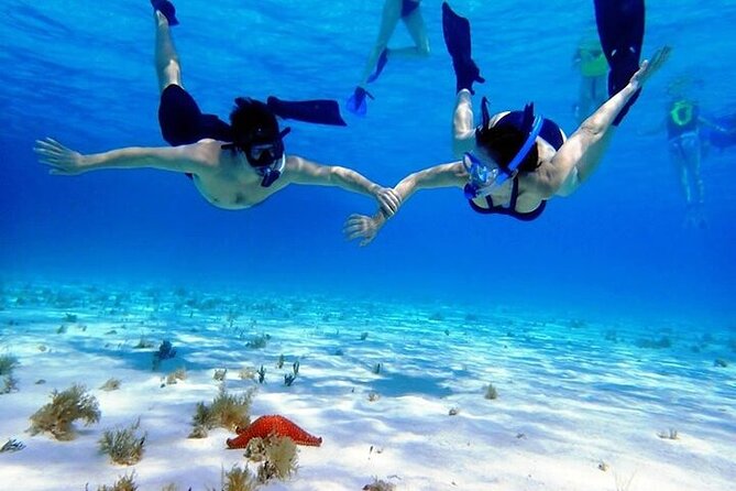 Private Tour in Cozumel El Cielo Sandbar and Reef Snorkeling - Cozumel reef plus El Cielo starfish bay, the smart way to spend 5 hours