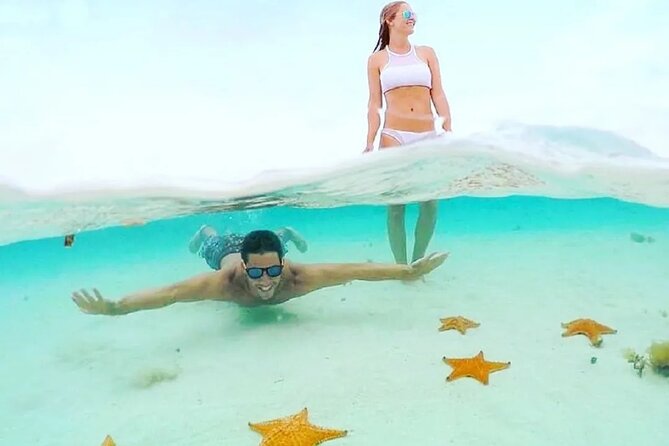 Private Tour in Cozumel El Cielo Sandbar and Reef Snorkeling - What’s included for the $189 price, and where the money goes
