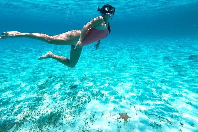 Private Tour in Cozumel El Cielo Sandbar and Reef Snorkeling - Food on the beach picnic: what you can plan for, and what to verify