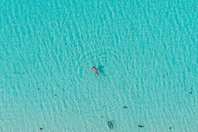 Private Tour in Cozumel El Cielo Sandbar and Reef Snorkeling - Who this private El Cielo tour is best for (and who should skip it)