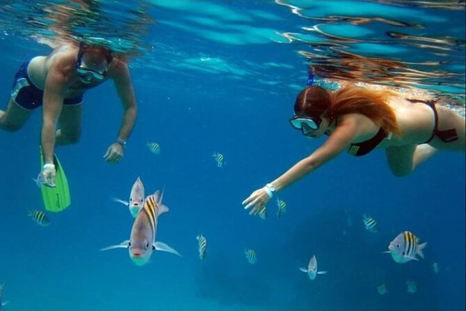 Private Tour of Cozumel in your own way Groups up to 6 People - How the guide experience shapes the day (Claudio Romero and Goku)
