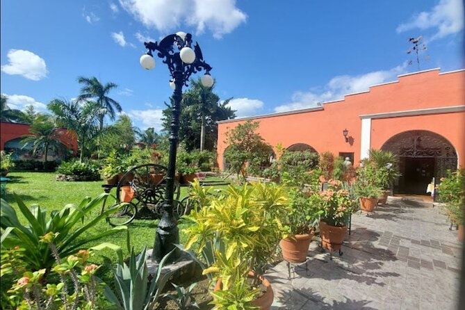 Private Tour of Cozumel in your own way Groups up to 6 People - Getting value from $160 per group up to 6
