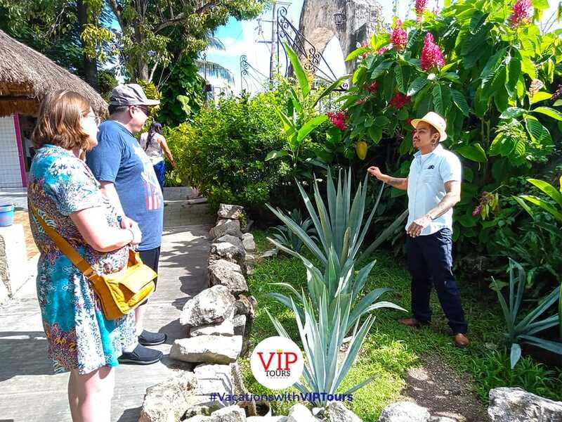 Private Van Service. Tasting the best of Cozumel - Who this private tour is best for