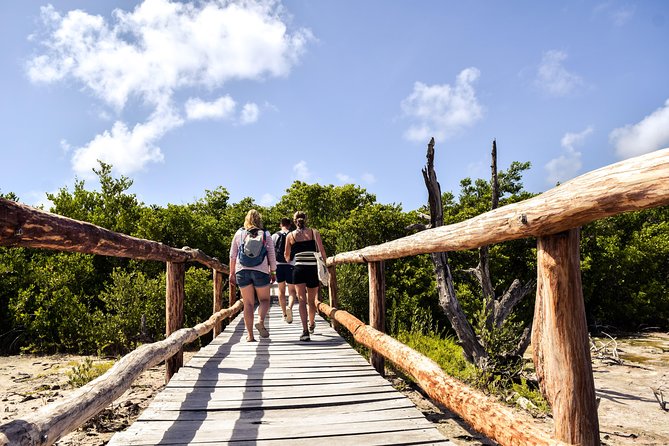 Punta Sur Eco Beach Park Electric Bike Tour in Cozumel - The Beach Bum Cozumel start: what your morning looks like