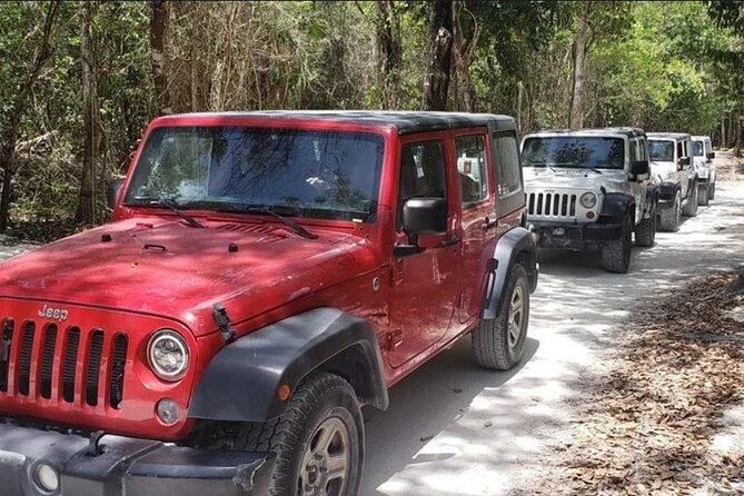 Rental Jeep Wrangler 4-Door Automatic 24h Cozumel Excursion - How the 4 to 8 hour rental feels once you are on the road