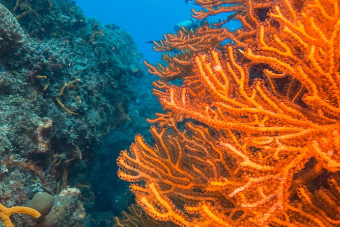 Scuba Diving in Cozumel Island - The boat ride: comfort, two levels, and time to breathe