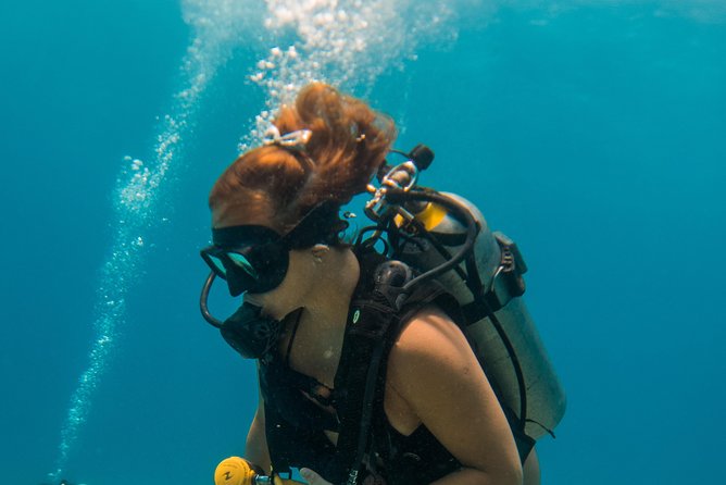 Scuba Diving in Cozumel Island - Two underwater sessions, max timing, and the built-in break