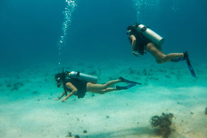Scuba Diving in Cozumel Island - Open-ended ferry ticket, and how to use your extra hours