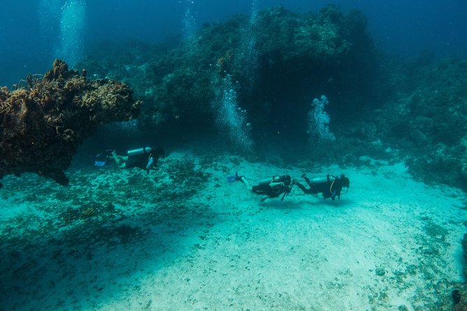 Scuba Diving in Cozumel Island - Instructors, teaching style, and who you might work with