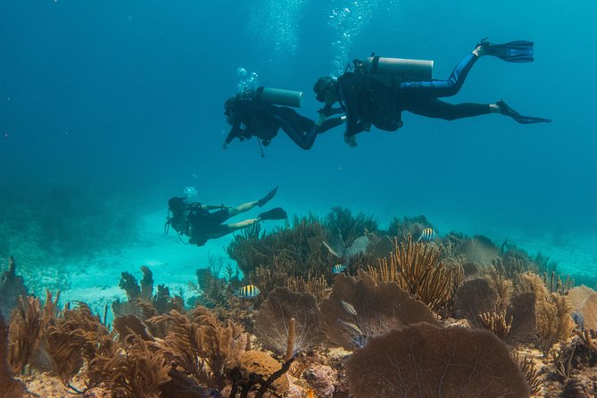 Scuba Diving in Cozumel Island - Timing and what the day feels like, start to finish