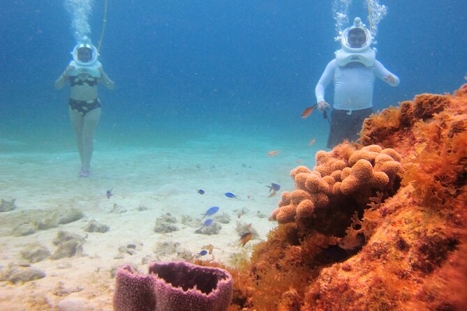 Sea Trek Adventure at Chankanaab National Park - Price and value: $79 makes sense if you match the activity style