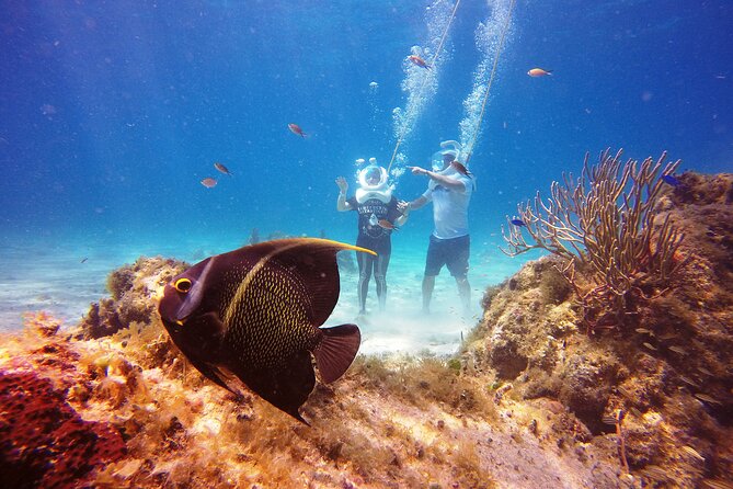 Sea Trek Adventure at Chankanaab National Park - Group size and guide attention: why it matters