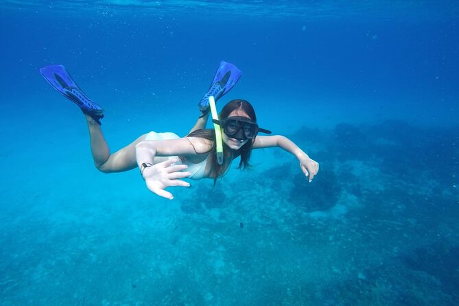 Shared Sky Snorkeling in Cozumel - A 4-hour Shared Sky schedule that keeps you on the good stuff