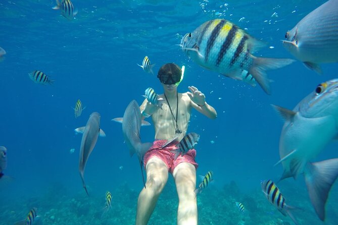 Shared Sky Snorkeling in Cozumel - Crew and group size: why up to 12 people makes a difference