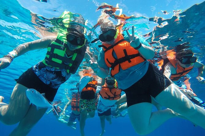 Shared Sky Snorkeling in Cozumel - Price and included perks: where the $56 really goes