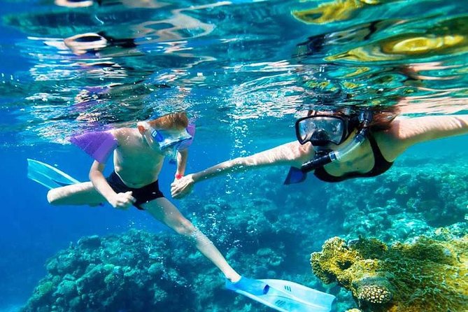 SkyReef Cozumel Snorkel & Tequila Tasting - Shore snorkeling at Parque Nacional de Arrecifes de Cozumel