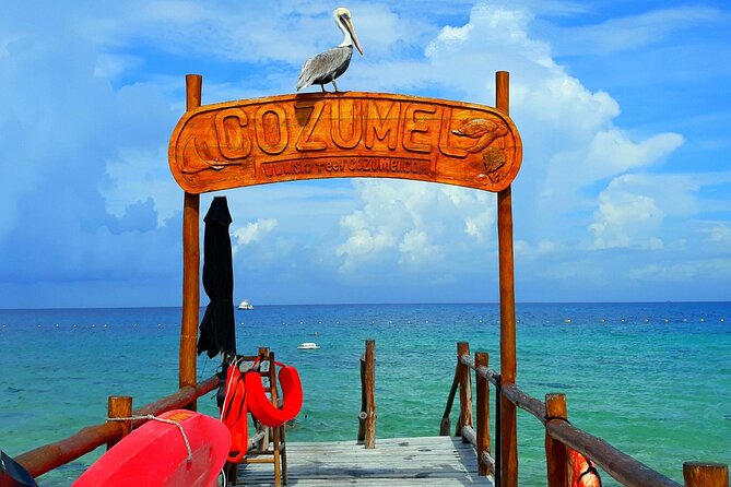 SkyReef Cozumel Snorkel & Tequila Tasting - Tequila tasting: fun, guided, and budget-aware