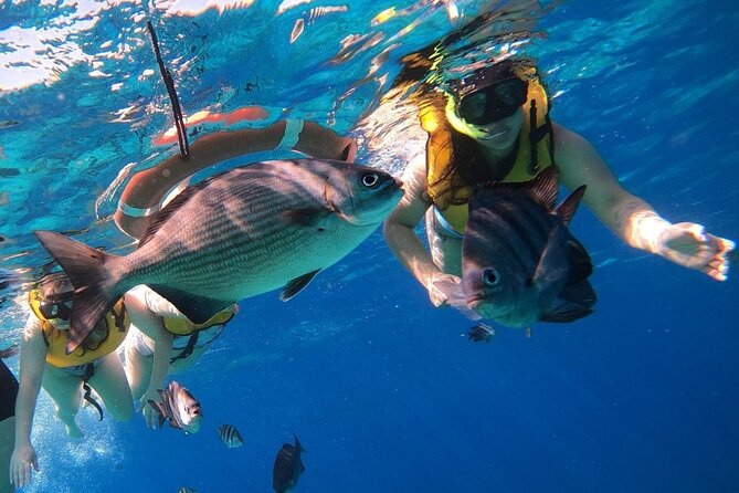 Snorkel along the coast, explore two reefs by Chivis del Mar - Stop 2: Paraiso (Paradise) Reef and Statues for Photos