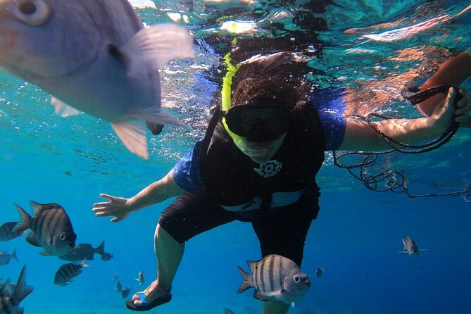 Snorkel along the coast, explore two reefs by Chivis del Mar - Gear, Safety Prep, and the Reef-Friendly Sunscreen Rule