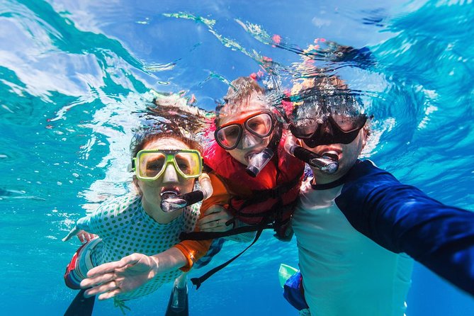 Snorkel in El Cielo Cozumel Reef with Lunch, Beach and Transport - Central Cozumel and El Cielito Beach: the land time you actually get