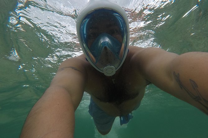 Snorkeling and Beach Club Access in Cozumel with Lunch - Where PalMar Snorkel Beach Club fits into your Cozumel day