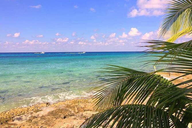 Snorkeling and Beach Club Access in Cozumel with Lunch - Price and value: why $20 can feel fair