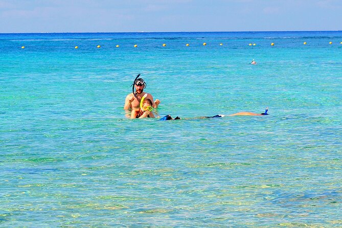 Snorkeling and Beach Club Access in Cozumel with Lunch - Who this tour is best for, and who should pass