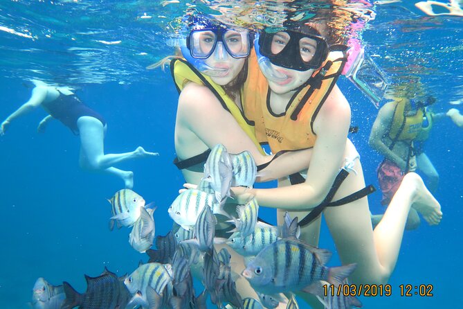 Snorkeling Trip at Cozumel Beach Club with Lunch Included - Stop 1 at Villa Blanca Wall: your first reef, quick and photo-friendly