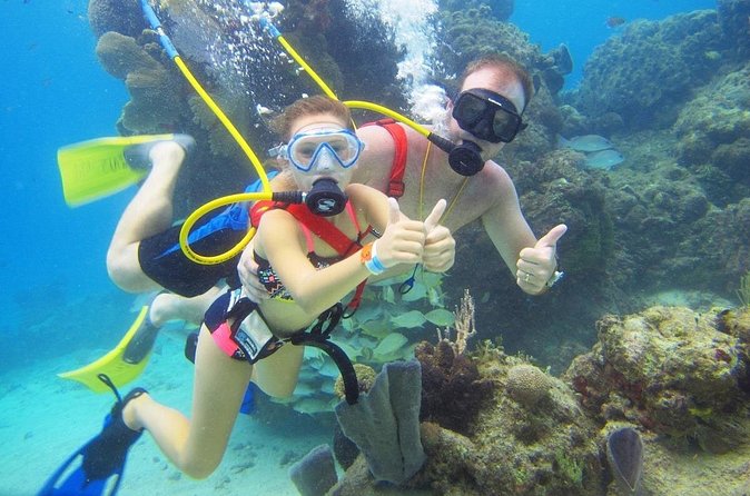SNUBA Cozumel Underwater Adventure inside Chankanaab National Park - Who this is best for (and who should skip it)