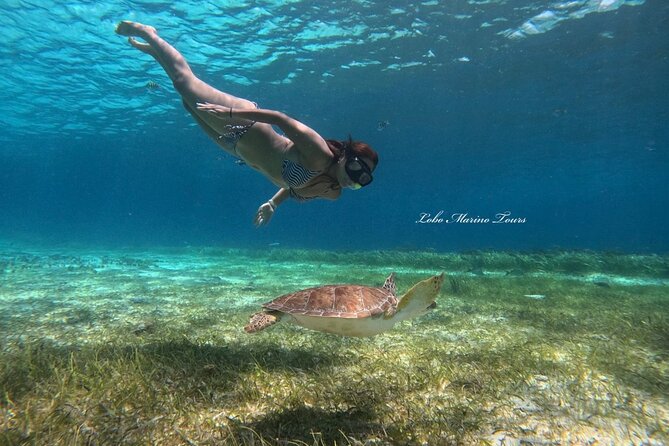 Star and Turtle Sanctuary Snorkeling Tour in Cozumel - Price Check: What $65.41 Buys You for a 4-Hour Day