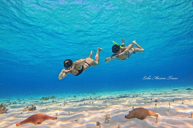 Star and Turtle Sanctuary Snorkeling Tour in Cozumel - Who This Tour Fits Best (and Who Might Not Love It)