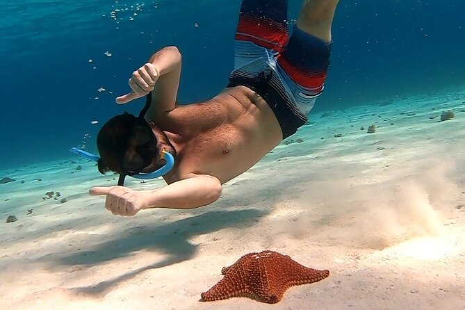 Starfish, Stingrays and the Turtle Sanctuary Snorkel Tour - Why this Cozumel snorkel tour feels small and personal