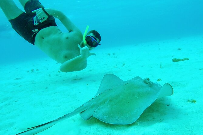Starfish, Stingrays and the Turtle Sanctuary Snorkel Tour - Meeting point math: where to go so you do not burn your time