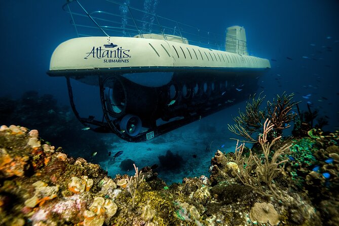 Submarine Atlantis Cozumel Adventure by Day & Sunset - Chankanaab Reef plus the Felipe Xicoténcatl shipwreck: the stops that make it worth it