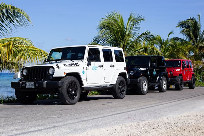 Super Cozumel Combo Snorkel by Boat and Jeep Exploration (Private) - The whole plan: land, water, food, and tequila in one day