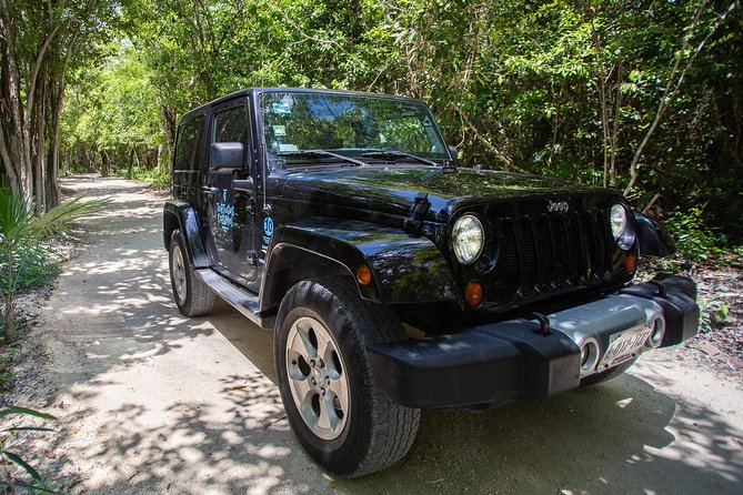 Super Cozumel Combo Snorkel by Boat and Jeep Exploration (Private) - Tequila tasting: included learning, with real samples