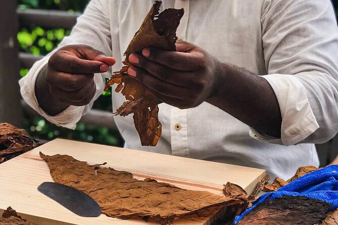 Taste of Mexico: Rolling Cigar & Tequila Experience with transfer - The Habano Cigar Masterclass: Skill, Technique, and Tips You Can Use