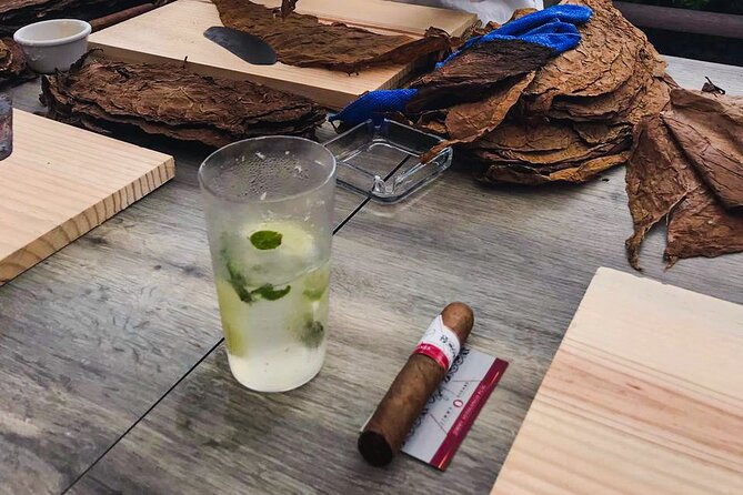 Taste of Mexico: Rolling Cigar & Tequila Experience with transfer - Transfers and Timing: How to Keep the Day From Feeling Rushed