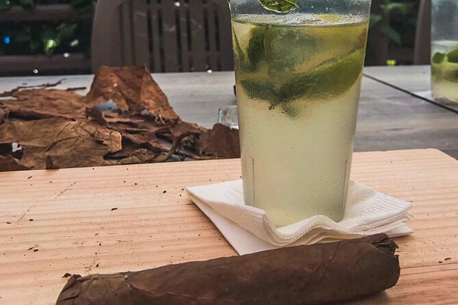 Taste of Mexico: Rolling Cigar & Tequila Experience with transfer - Who This Tour Fits Best (and Who Might Want a Different Plan)