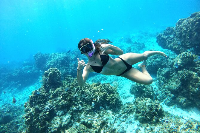 The Cozumel Turtle Sanctuary Snorkel Tour - Turtle Sanctuary Stop: Seeing Turtles in Natural Cozumel Waters