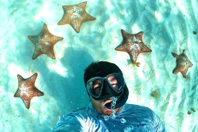 The Cozumel Turtle Sanctuary Snorkel Tour - El Cielo Starfish Sanctuary: Why White Sand Changes Everything