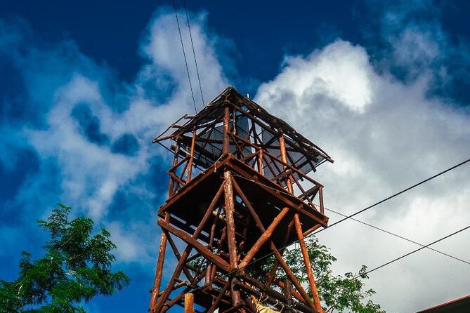 The Original Cozumel Zipline Adventure - Who should book this tour, and who should reconsider
