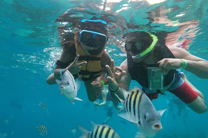 The Perfect Day in Chankanaab Park Cozumel - Chankanaab Park: Where the reef meets the beach