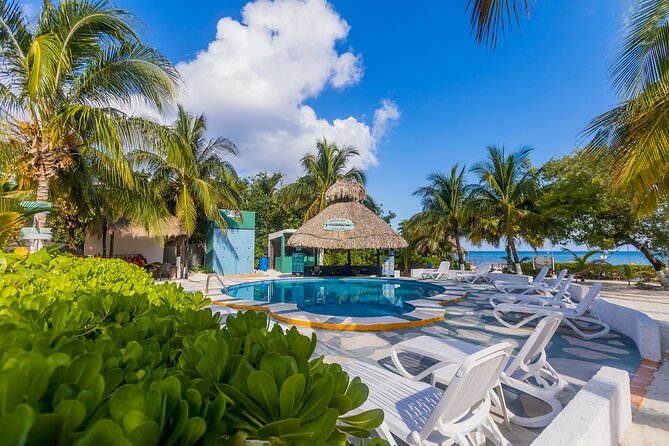 Tikinxic Barefoot Fish Guided Cookout Experience in Cozumel - Beach-club downtime: pool, sand, hammocks, and a slower tempo